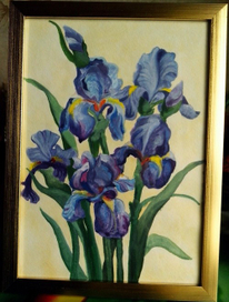 ирисы