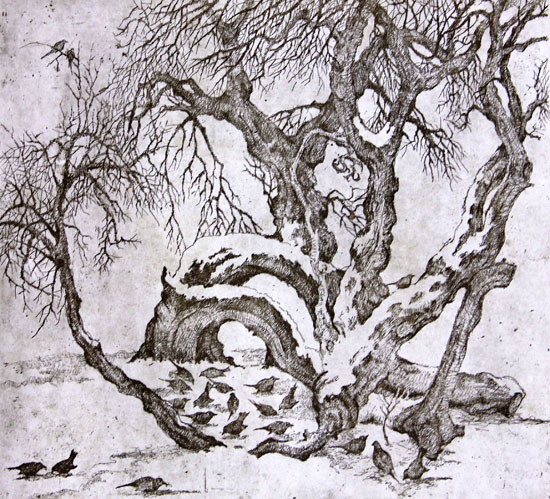 февральские скворцы