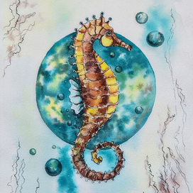 Морской конёк