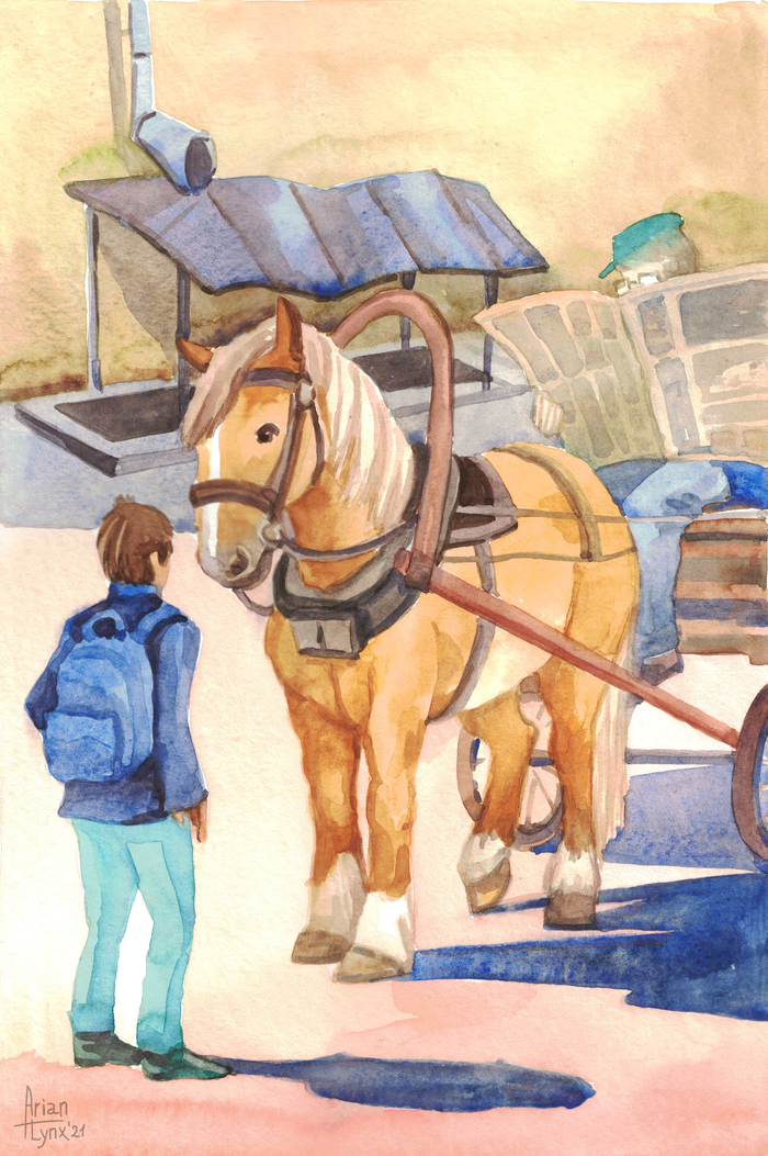 "Самый красивый конь" Б.Алмазова. Иллюстрация к 1 главе