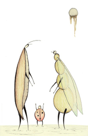 insects2