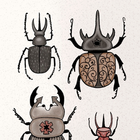 Жуки рогатые