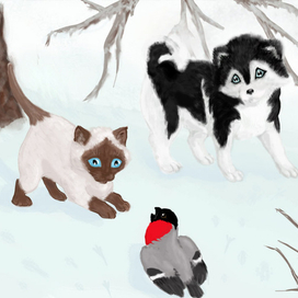 Красный свет - дороги нет!