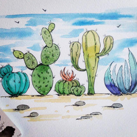 Сад кактусов