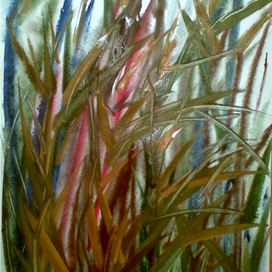 Сватовские камыши. Кыля