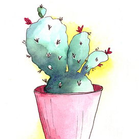 Кактус в розовом горшке