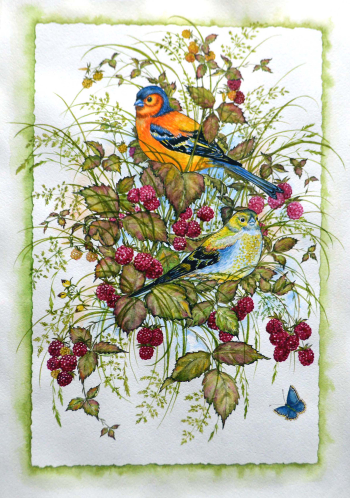 Малиновый аромат лета