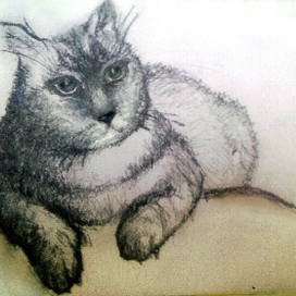 он всё знает