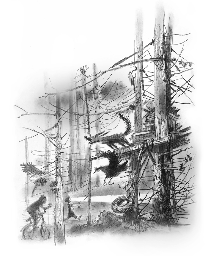 "Пелена" Н. Шицкая