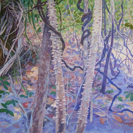 "Тукуман и Маминья ди порка"