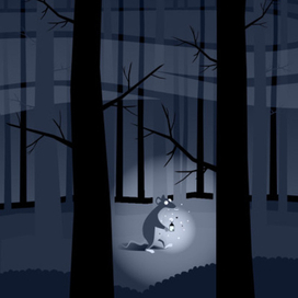 Ночью в лесу