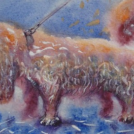 Прогулка под дождем