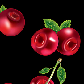 Ягоды вишня