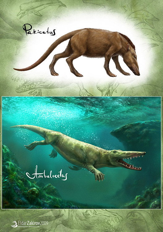 Китовы предки