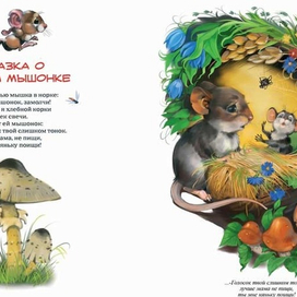 (без названия)