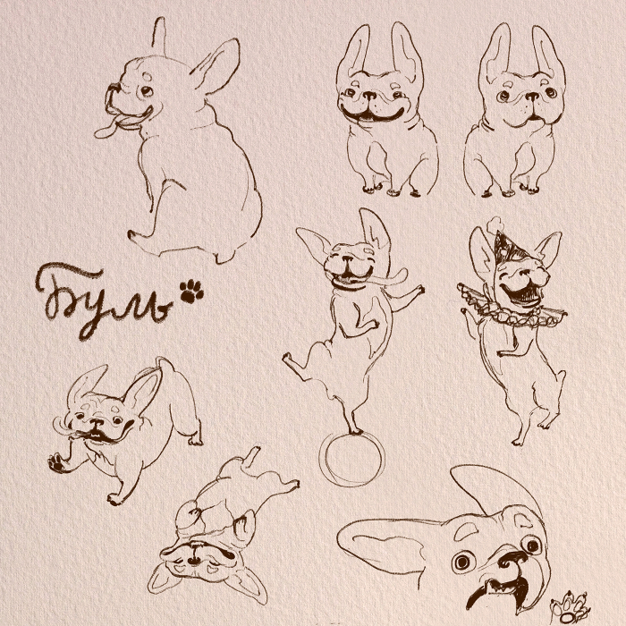 Пёсик, персонаж книги «Алиса и Анфиса. Цирковой день»