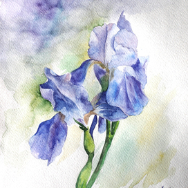 Просто вместе