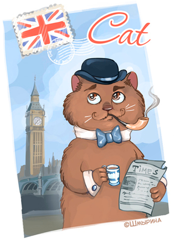 Кот англичанин