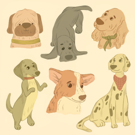 Разные породы собак