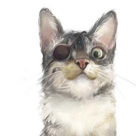 Одноглазое чудо