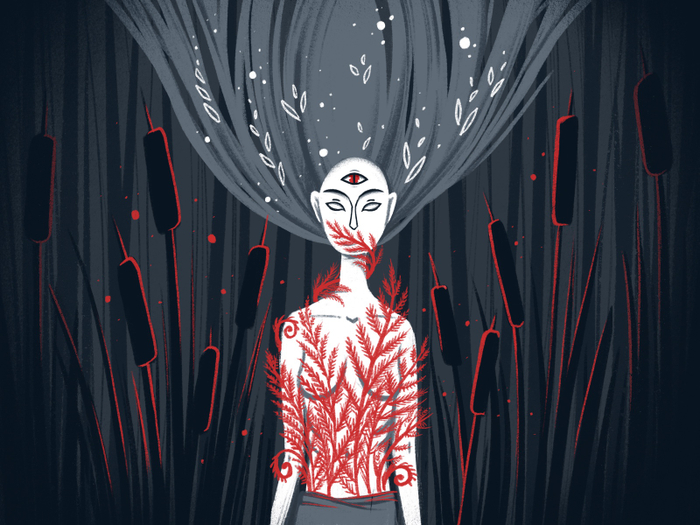 Травница и редкий папоротник