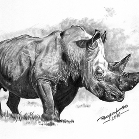 Носорог. Большая пятерка.