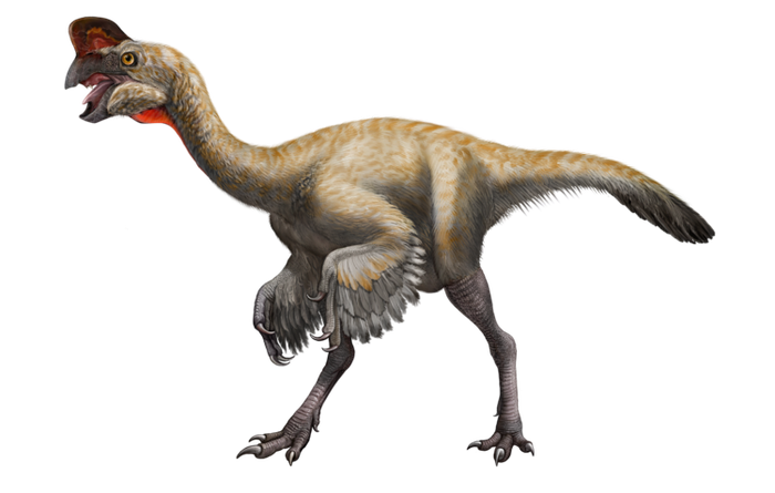 Персонажи Oviraptor (динозавры)