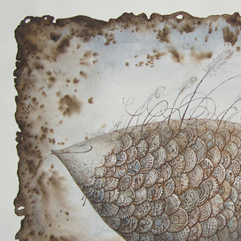 коллекционер