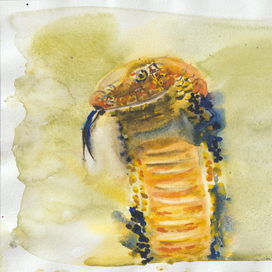 Королевская кобра