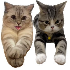 Рисунок котят в программе Procreate  домашнее животное