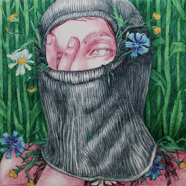 Полевые травы