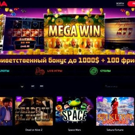    Обзор онлайн-казино ВАВАДА: как играть бесплатно и на деньги