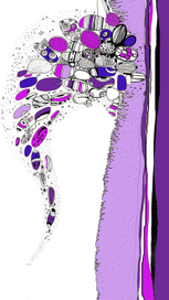 ПОЛЕТ СЕМЯН