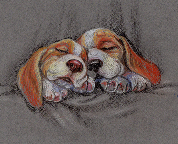 СЛАДКИЕ СНЫ