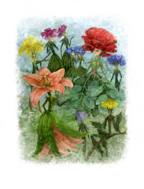 Цветочные разговоры