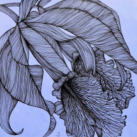 Экзотический цветок