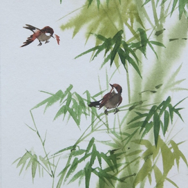 Воробьи в бамбуковом лесу