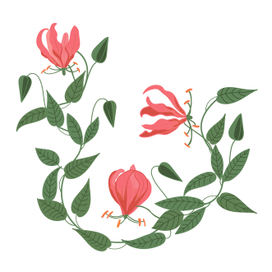 Тропическая красавица