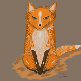 Иллюстрация лис