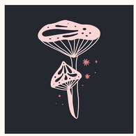 Магические грибы