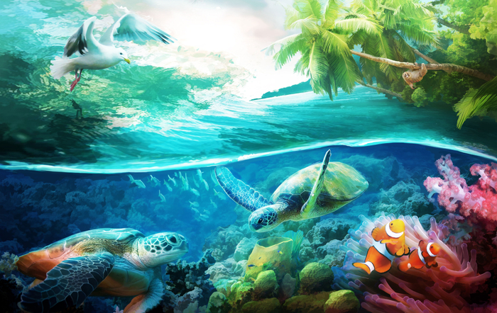 иллюстрация фон под текст