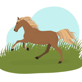 Лошадь в поле