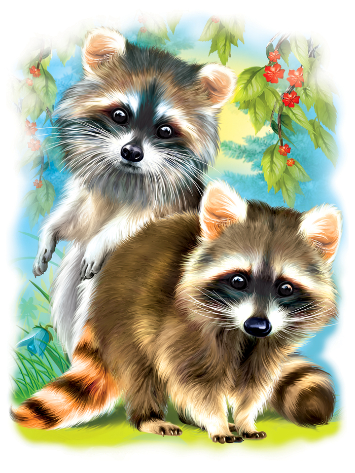 Еноты на футболку