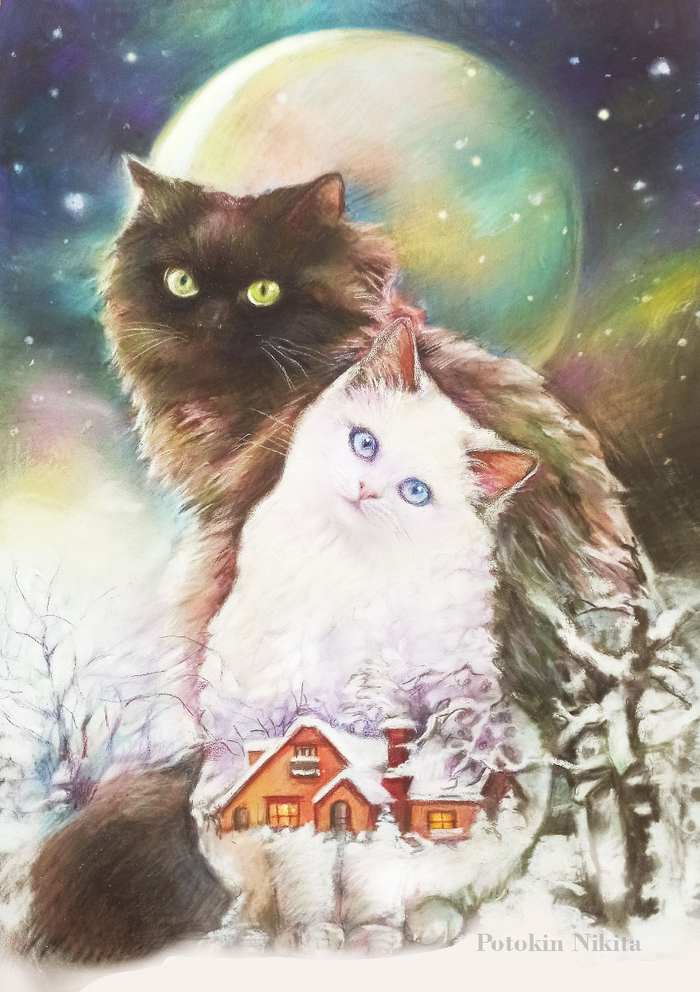 Зимнее солнцестояние