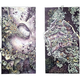 Иллюстрация "Лишай и человек"