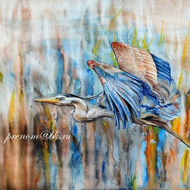 Большая серая цапля