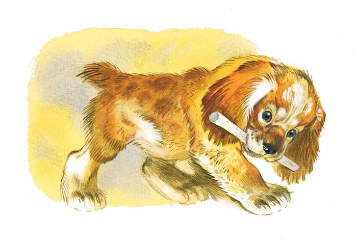 Е. Чарушин "Про Томку"