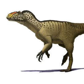 Yutyrannus