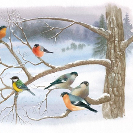 снежно-зимнее...