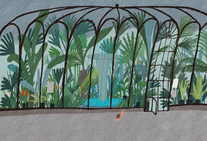 Иллюстрация из книги «Улитка Клара»